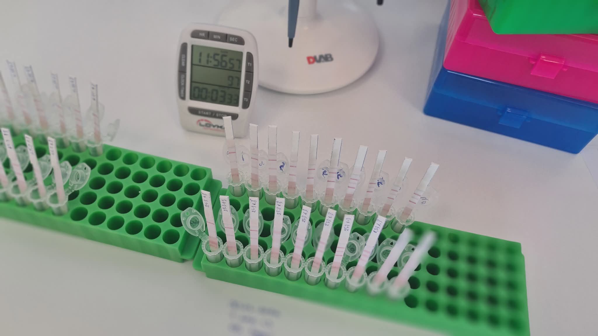 Wide view of test strip tray in lab