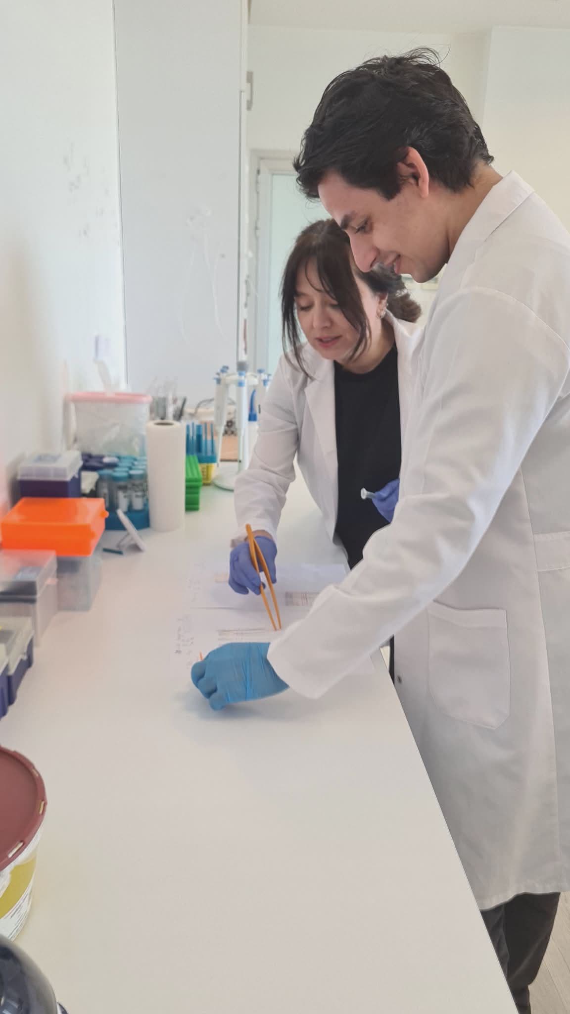 Whally lab researchers examining test strips