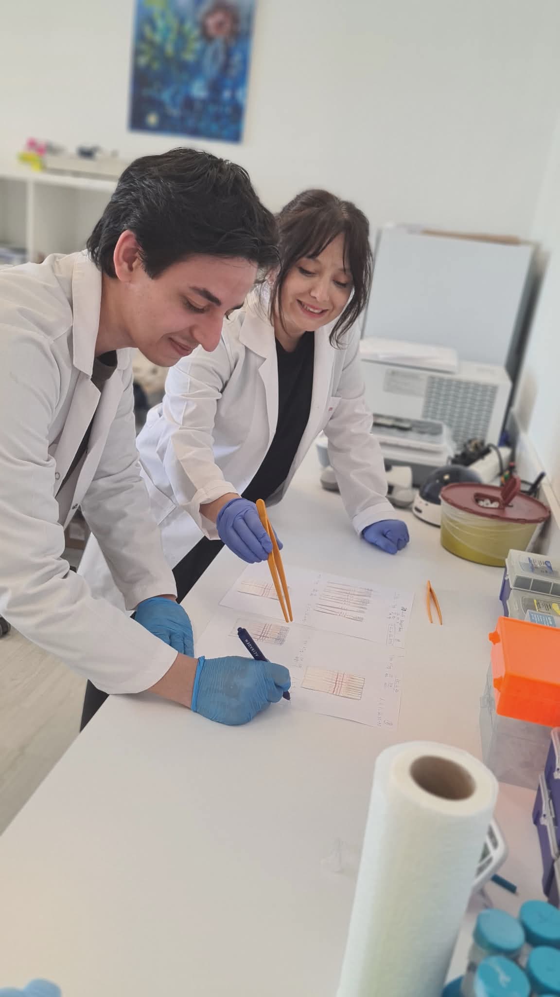 Two Whally scientists in lab coats scoring four-hormone lateral-flow strips against hand-drawn reference charts.